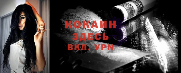 винт Сосновый Бор