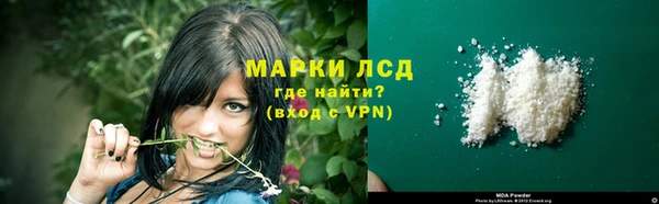 СК Володарск