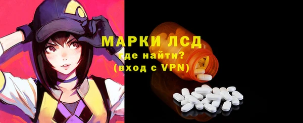 СК Володарск