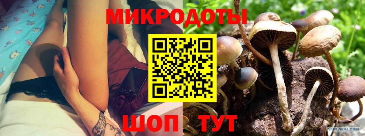 Галлюциногенные грибы MAGIC MUSHROOMS Славянск-на-Кубани