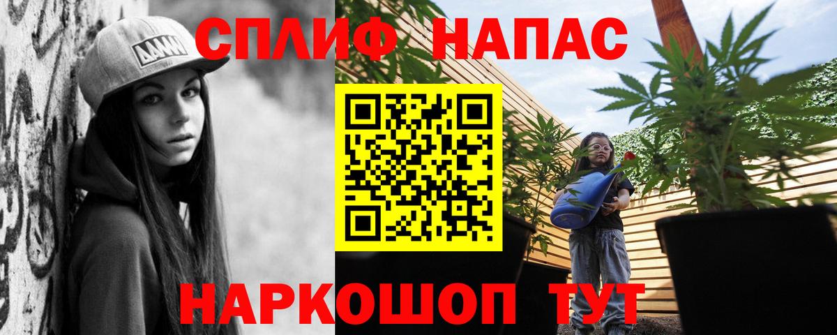 Славянск-на-Кубани  Канабис конопля  Канабис ГИДРОПОН  Бошки марихуана ГИДРОПОН  Вход с VPN  Каннабис марихуана 